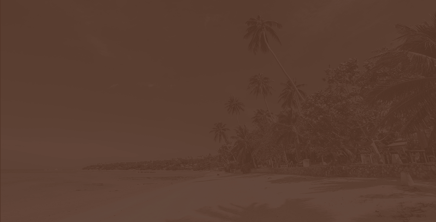 Diversão e encantos a  serem vistos.